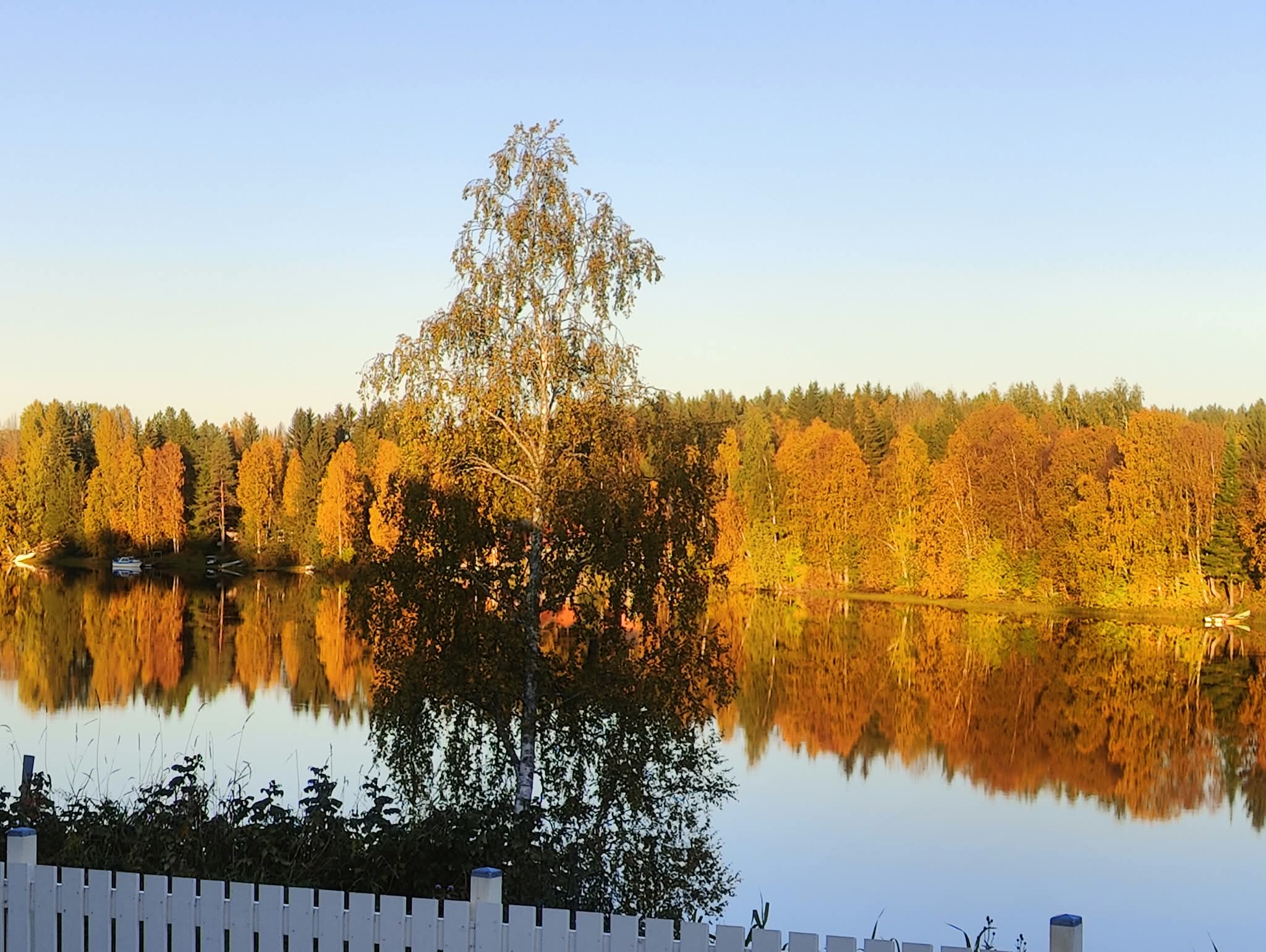 Savotan ympäristö