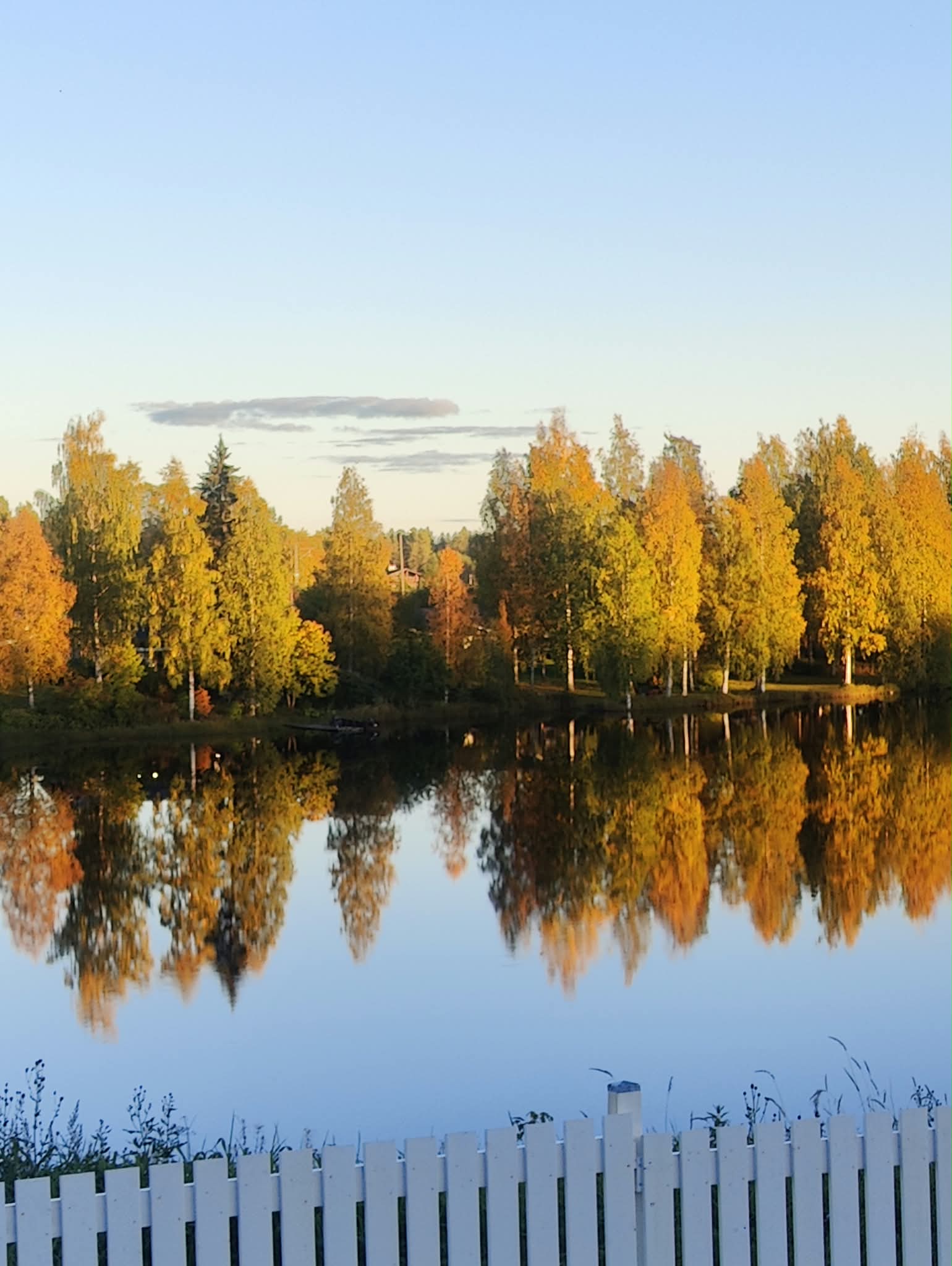 Maisema Savotan ympäristössä