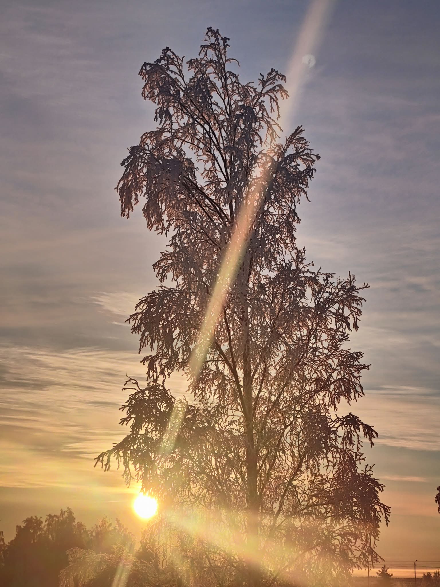 Talvinen